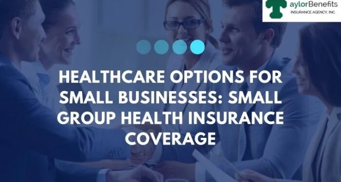 Health Insurance for Small Business Guide to Options and Costs