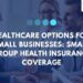 Health Insurance for Small Business Guide to Options and Costs